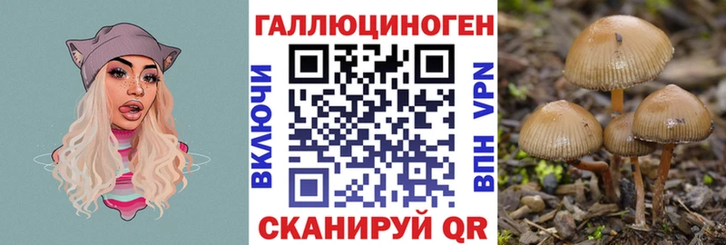 купить наркотики сайты  Балашиха  Псилоцибиновые грибы MAGIC MUSHROOMS 
