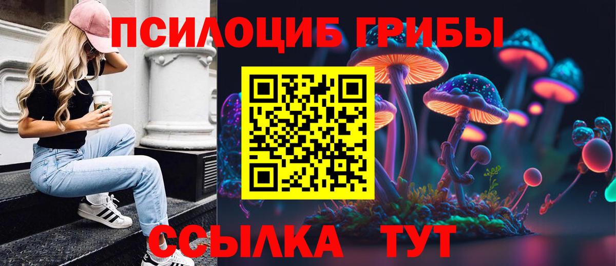 Галлюциногенные грибы Psilocybine cubensis  Вход с VPN  Балашиха 